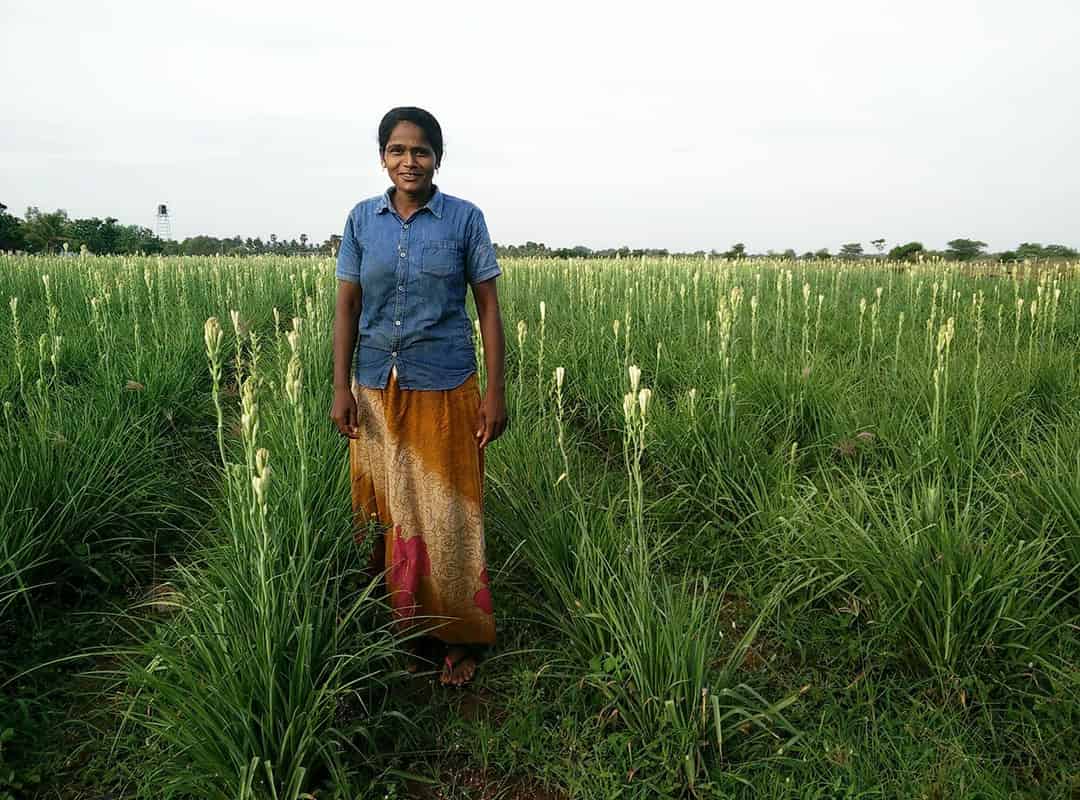 کانٹے بھری زندگی، پھر بھی چندرا نے پھولوں پر داؤ لگایا