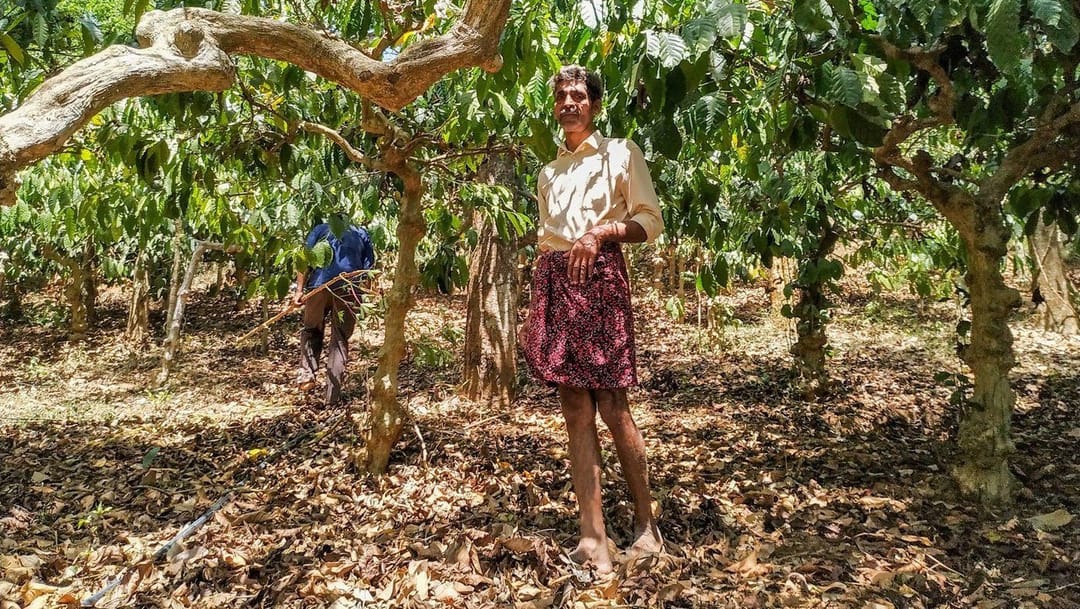 ‘वातावरण असं बदलतंय तरी का?’