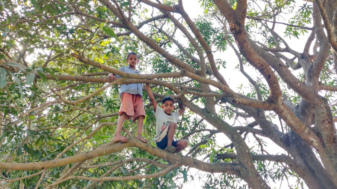 ‘এইটা আমাদের সবচেয়ে প্রিয় খেলা’
