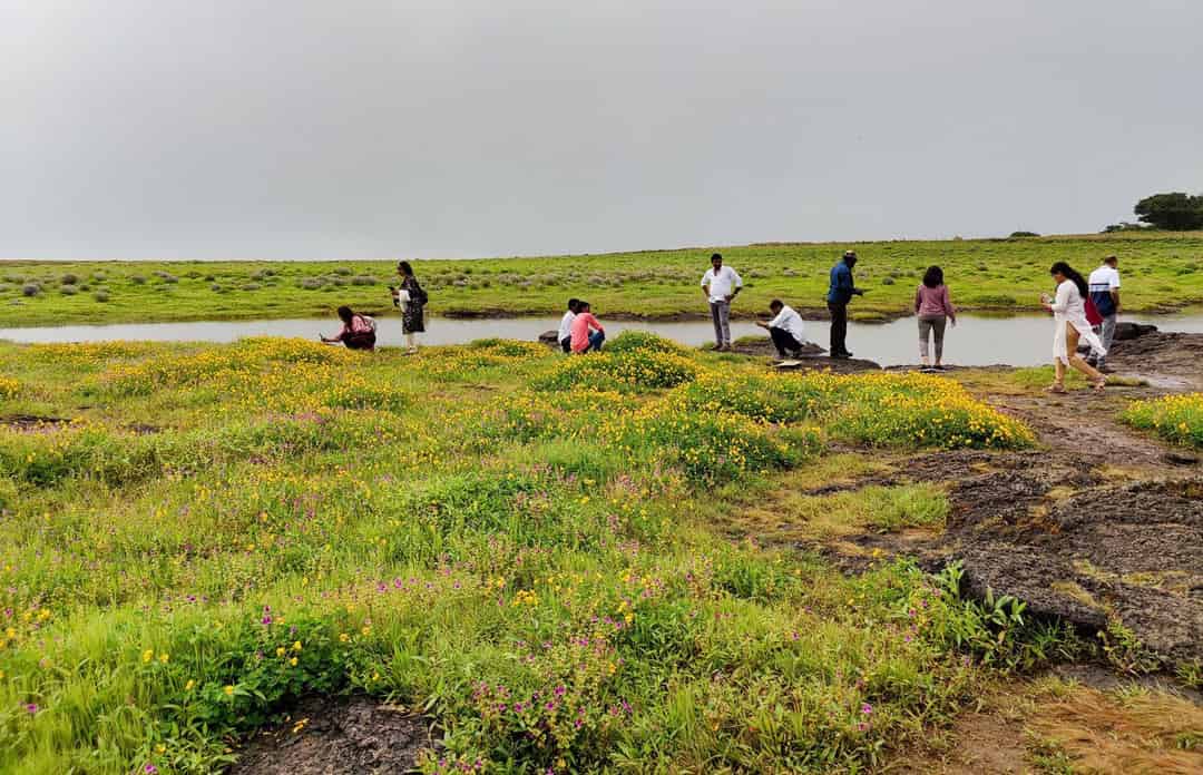 ‘माझ्या लहानपनचा कास नाय हा’