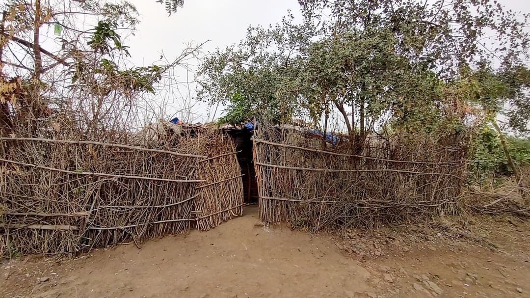 রইনু ঘরে একাকী