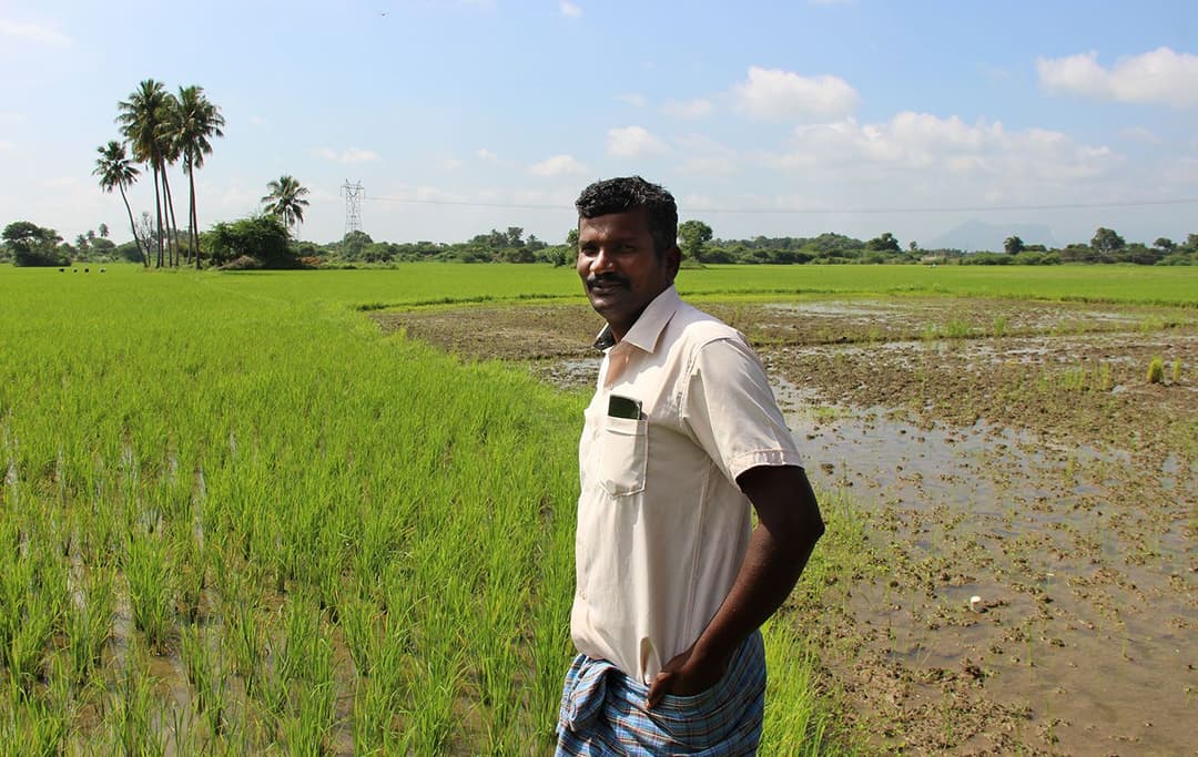 ଯେଉଁଠି ଚାଷର ଅର୍ଥ ଦୁଇଟି ପୂର୍ଣ୍ଣ ସମୟ କାମ