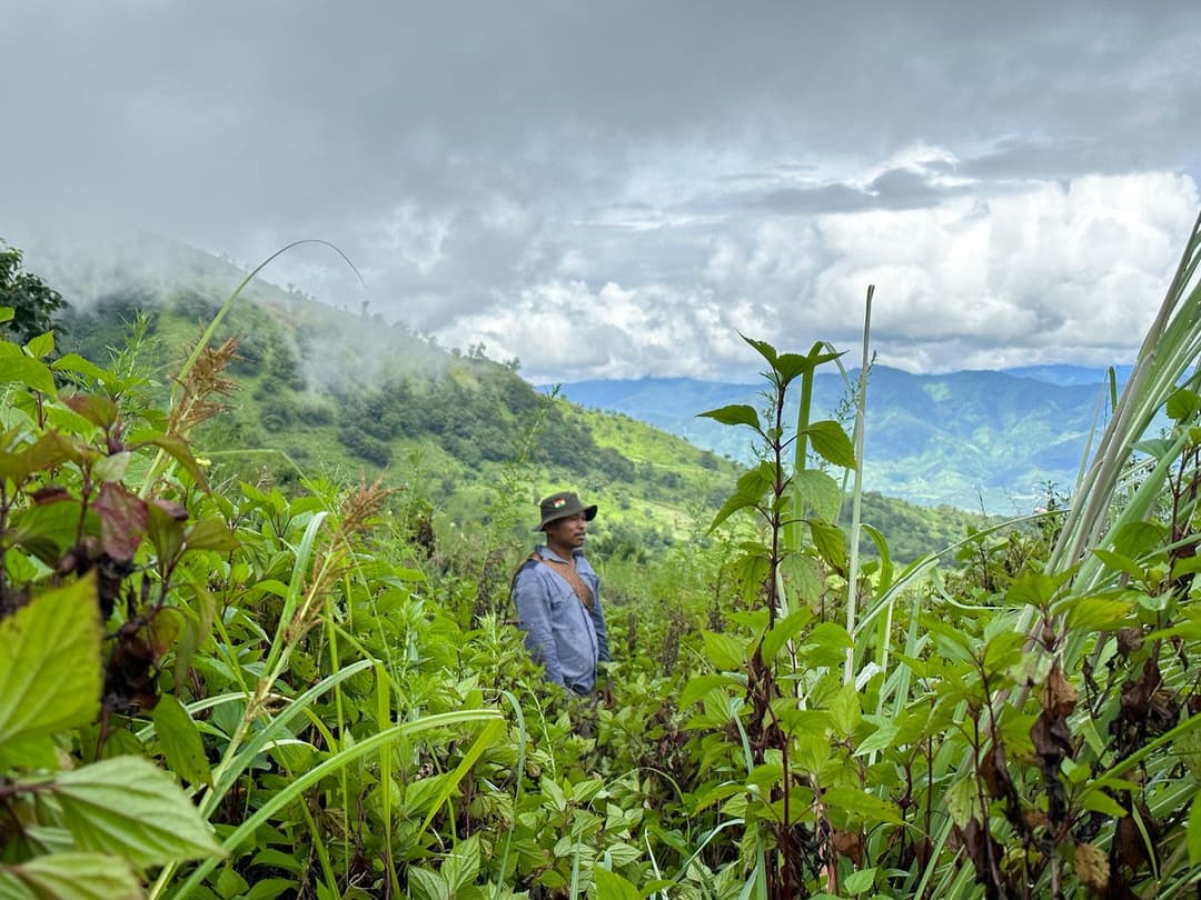 Kangpokpi farmers: waiting to be rehabilitated
