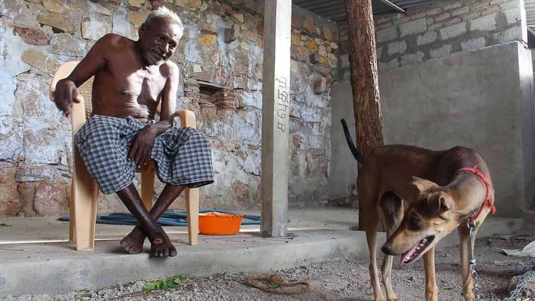 एकाकी गावचा म्हातारा