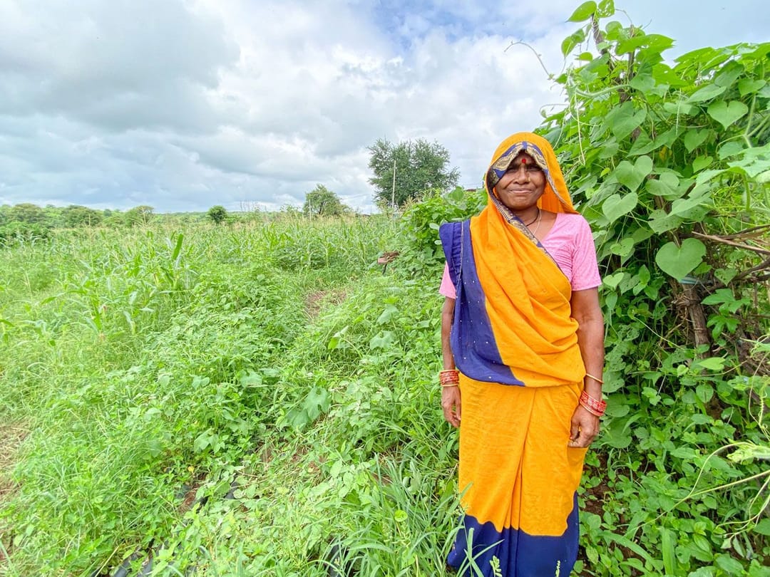 চুংগুনাত গুলাবৰাণীৰ জৈৱিক খেতি