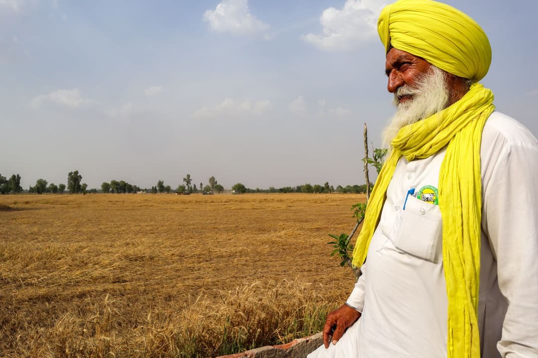 In Punjab: crop losses, anxiety and debt