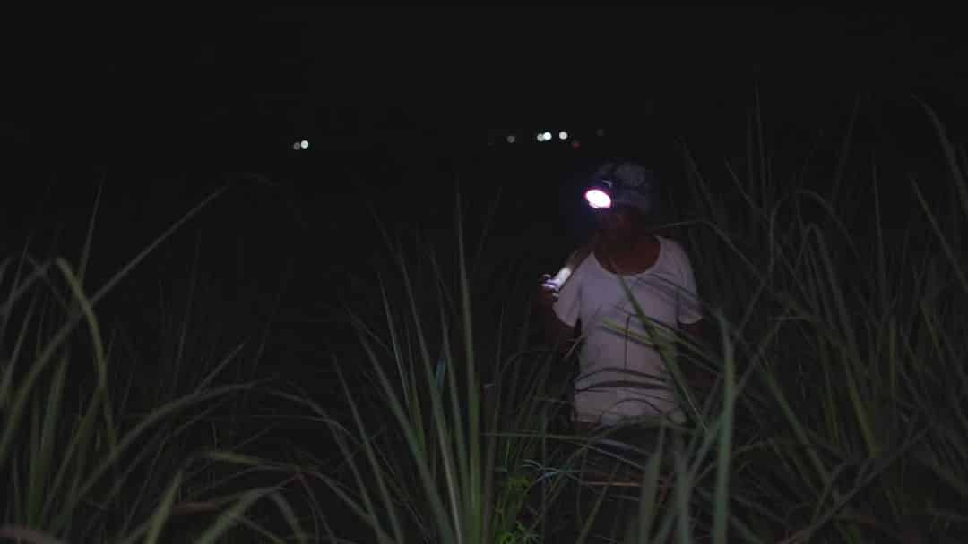 ਹਨ੍ਹੇਰੇ 'ਚ ਡੁੱਬੇ ਕੋਲ੍ਹਾਪੁਰ ਦੇ ਖੇਤ