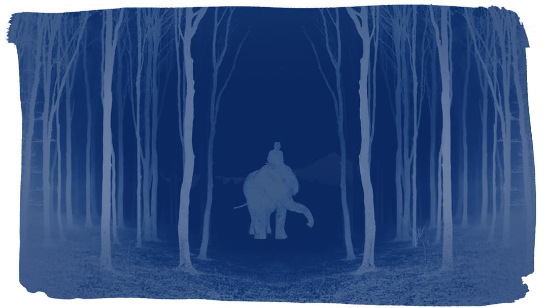 Elephant Man and the belly of the beast