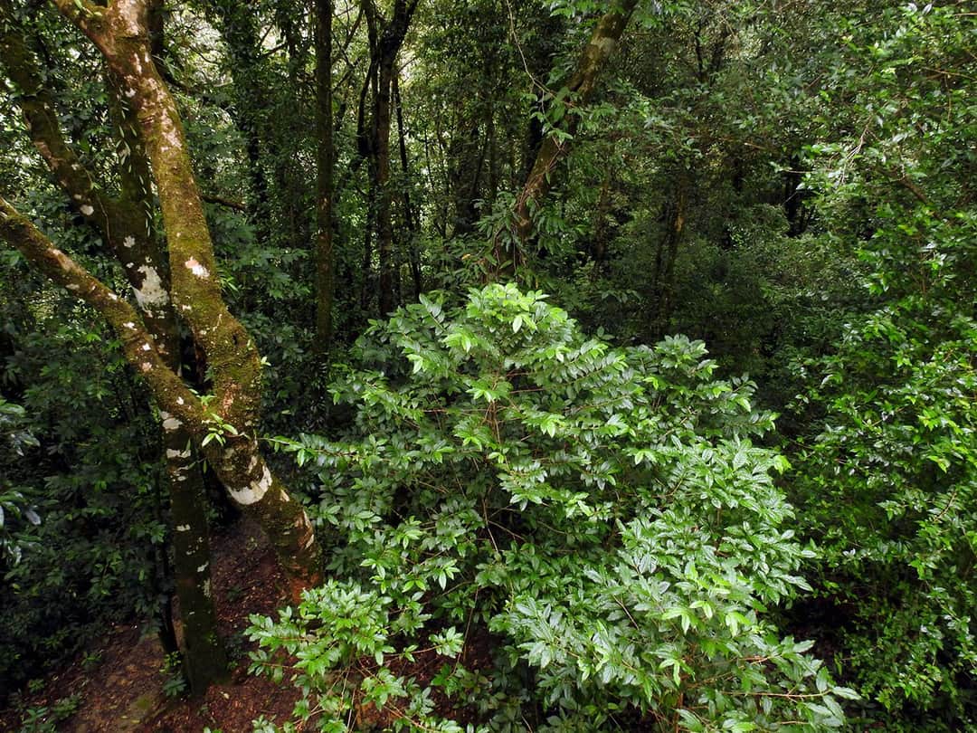 Full width image