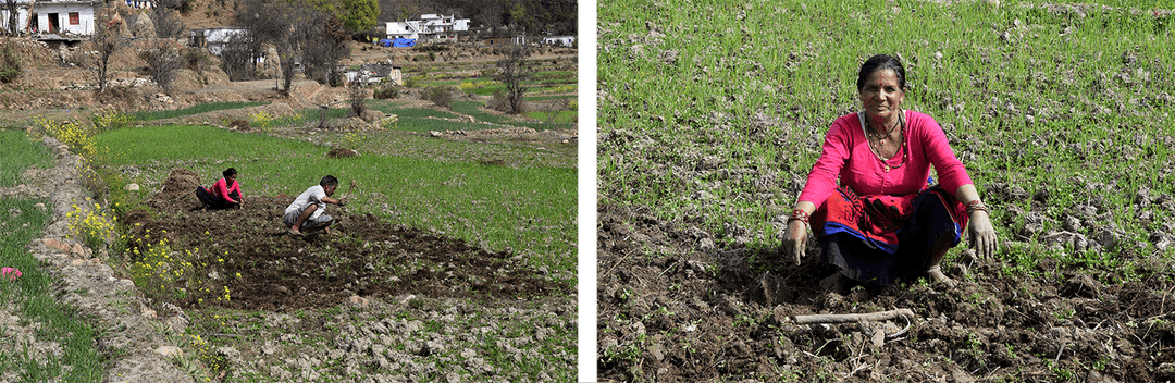 Full width image