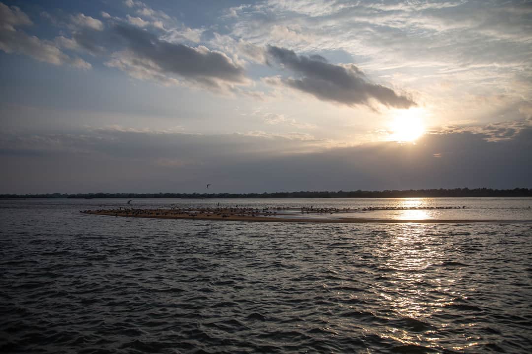 Full width image
