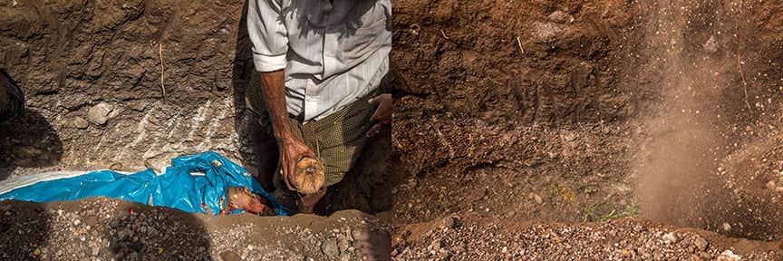 Full width image