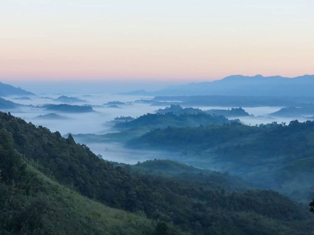 Full width image