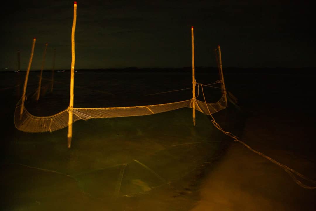 Full width image