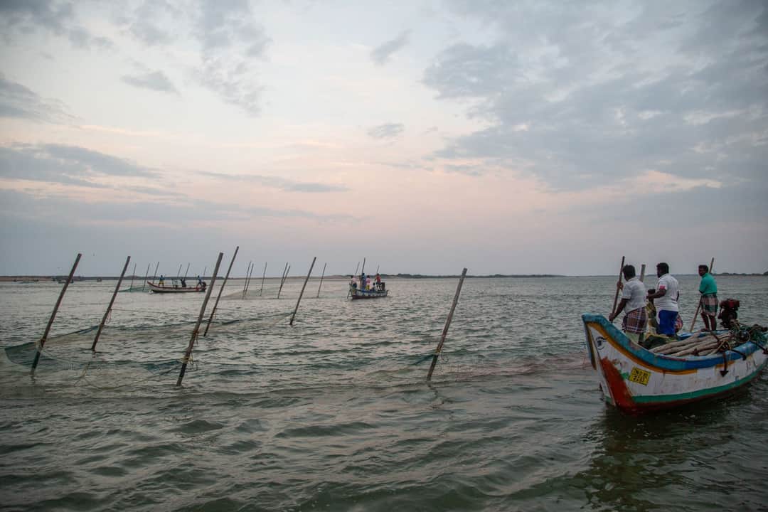 Full width image