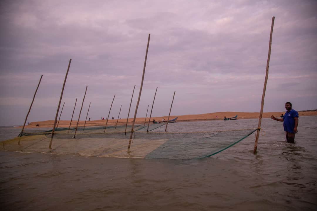 Full width image