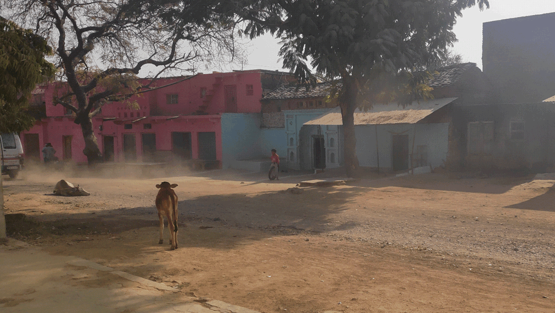 धुरळा खाली बसण्याची प्रतीक्षा