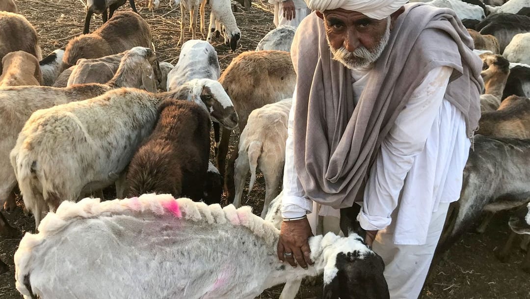 ‘অনিশ্চয়তাই আমাৰ জীৱনৰ একমাত্ৰ নিশ্চিত কথা’