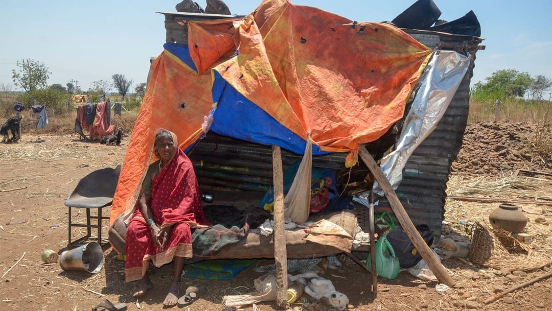 લોકડાઉનમાં પારધીઓ – ભીખ માગતો સવાલ