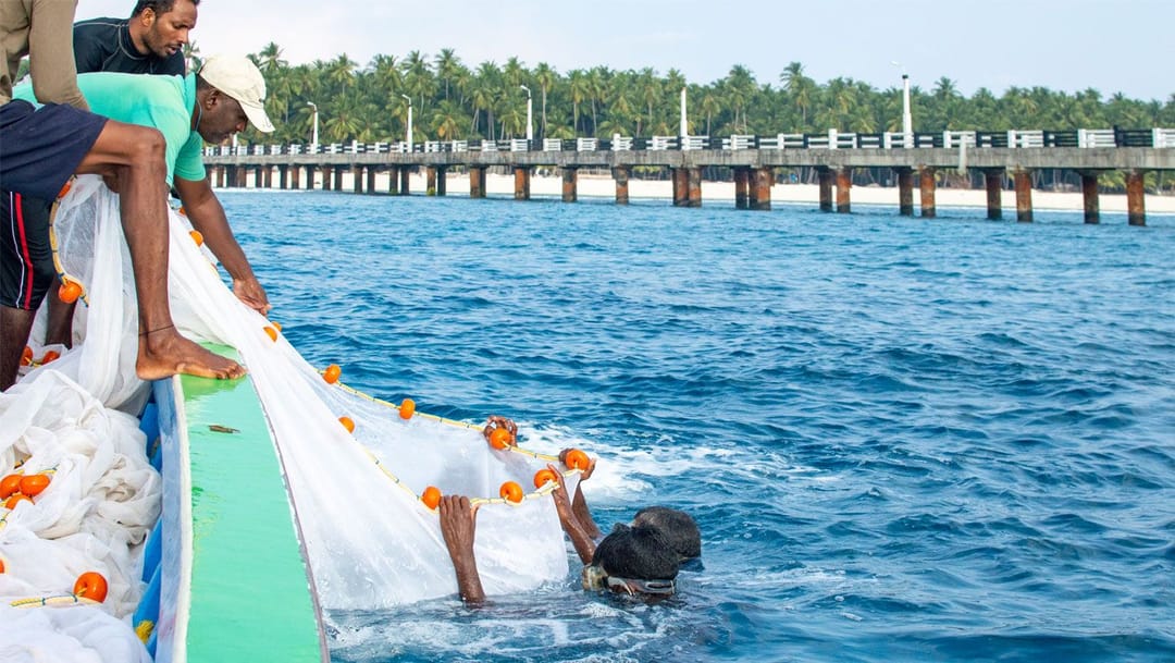लक्षद्वीप बेटं - प्रवाळाची आणि दुःखाची