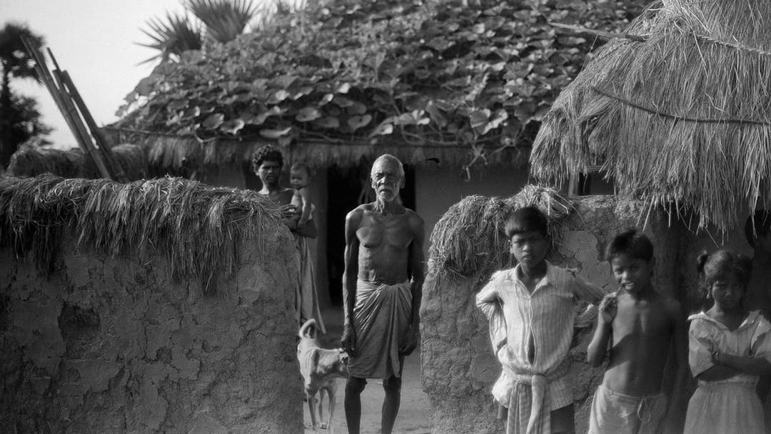 ଶିବୁ ଲୟାଙ୍କ ଚାଳ ଉପରେ କ୍ଷେତ