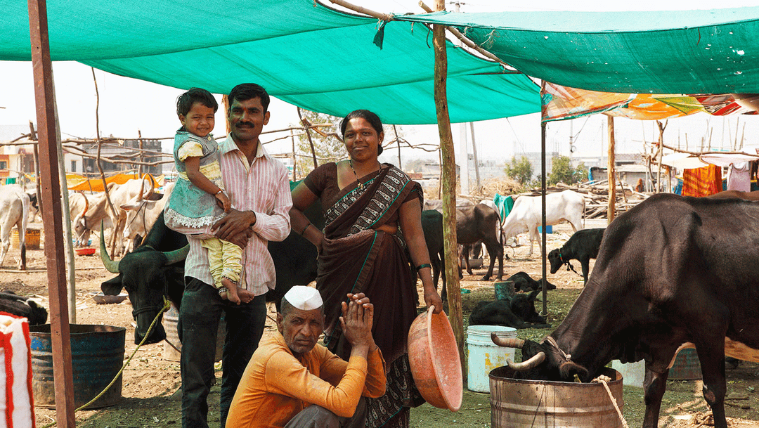 ‘ପଶୁ ଏବଂ ପକ୍ଷୀ ଉଭୟ ବହୁତ ପାଣି ଆବଶ୍ୟକ କରନ୍ତି’