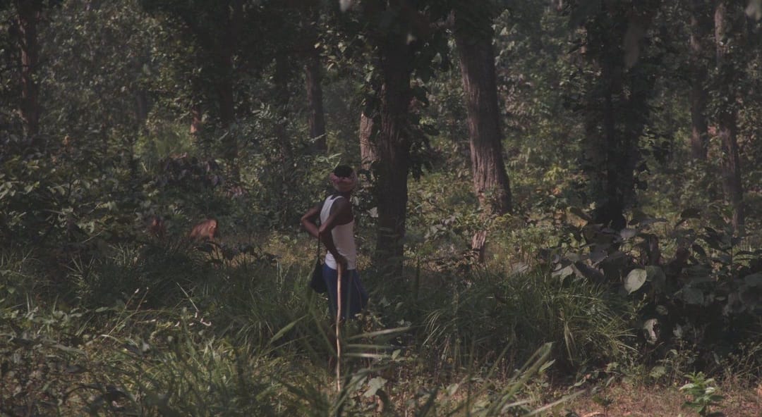 जंगलों के लिए लड़ाई, भूमि अधिकारों के लिए संघर्ष