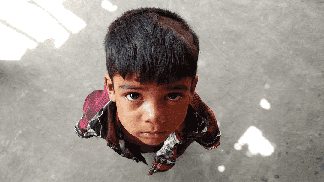 ‘বাঘ! বাঘ! – দাউ-দাউ জ্বলে রাগ’