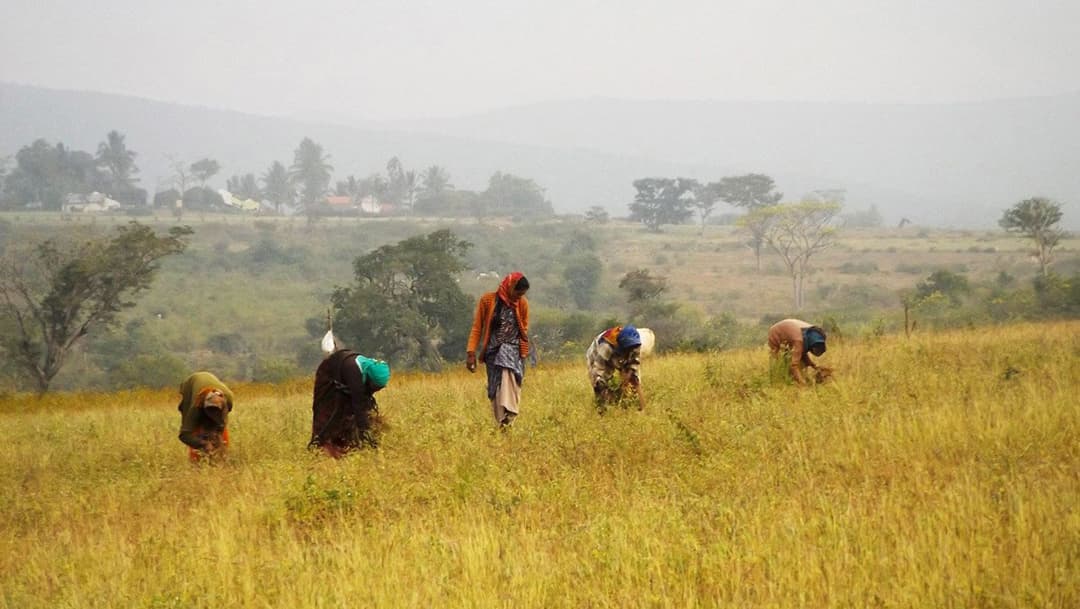 ‘ଆମର ବଣପାହାଡ ଅଛି ଓ ଆମେ ଏଠାରେ ବାସ କରୁ’
