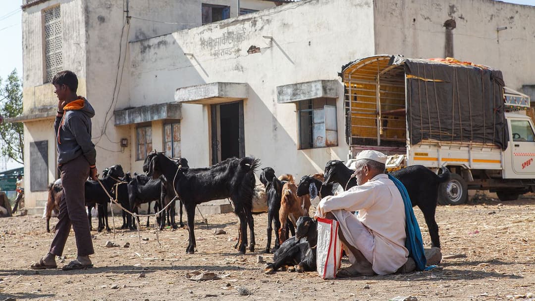 ‘কেউ দাম জানতেই চায়নি’