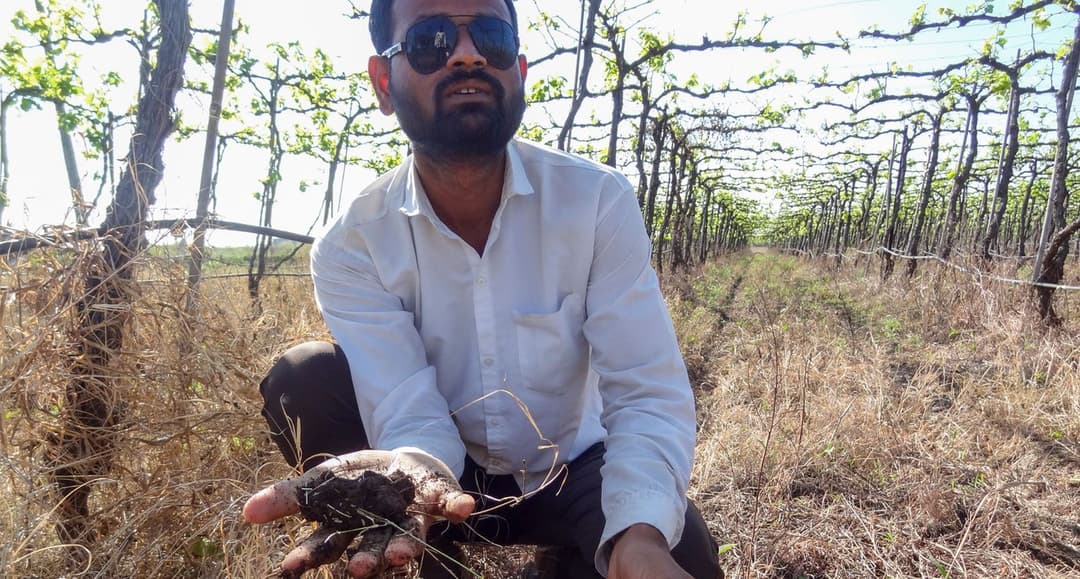 बेहद मुश्किल दौर से गुज़र रहे हैं सोलापुर के किसान…