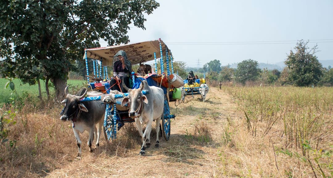 किरसन के कारवां से ऊंट काहे गायब हो गइलन?
