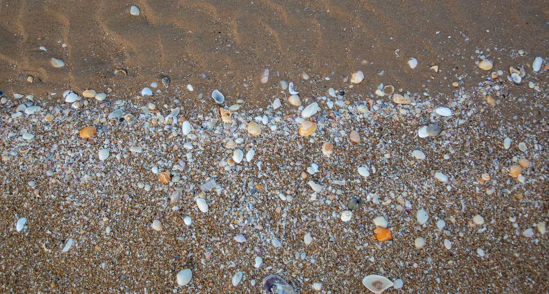 No more seashells on the seashore