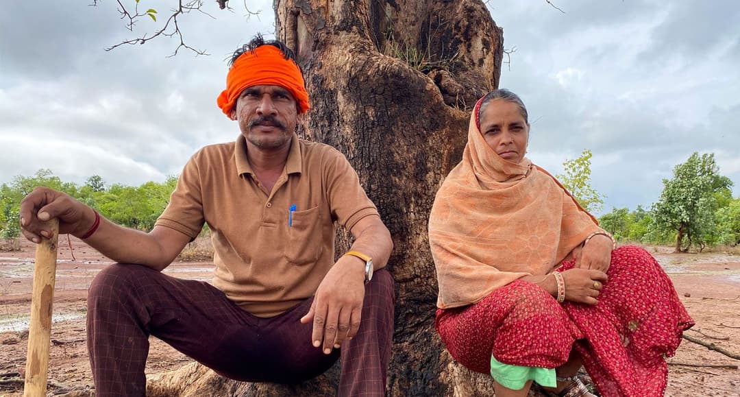 In Shahbad: drown a forest; grow a dam