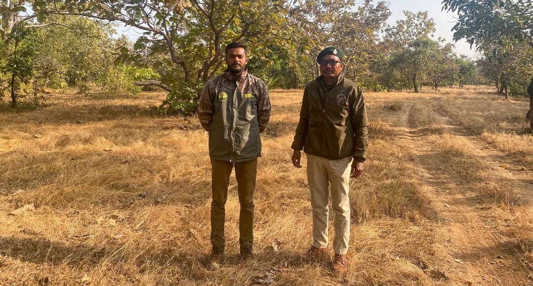 നൗരാദേഹിയിൽ ചെന്നായകൾ ഓരിയിടുന്നില്ല