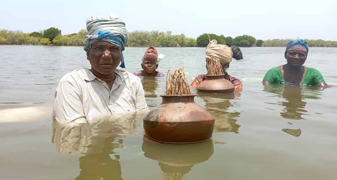 জোয়ার-ভাঁটার গতে বাঁধা দলিত মেছুনিদের অদৃশ্য মেহনত