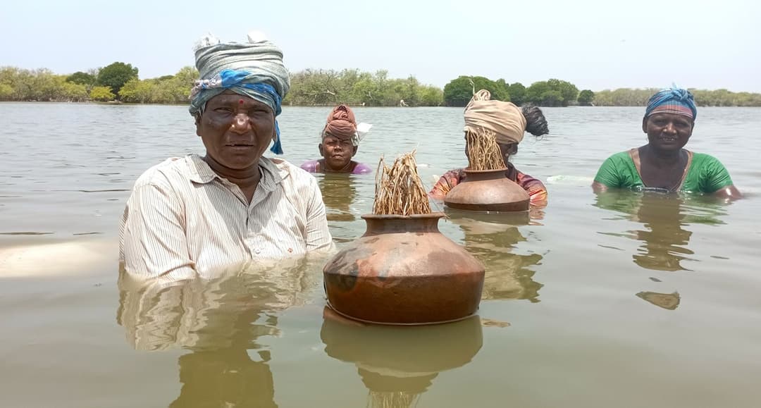 The invisible labour of Dalit fisherwomen