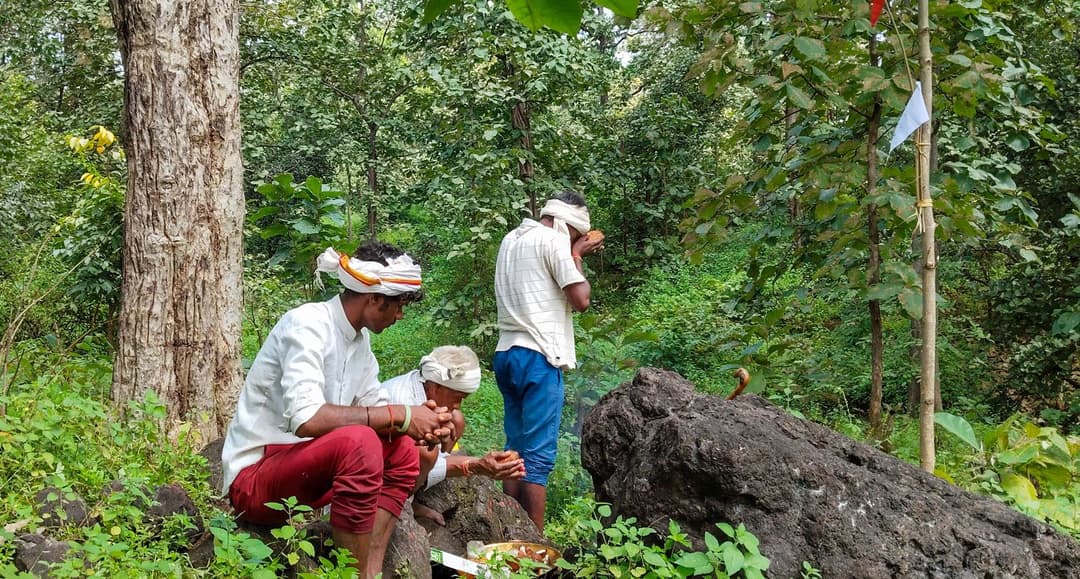 The tiger gods of Melghat