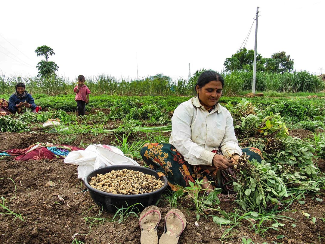 'ಬೆಲೆ ನಿರ್ಧಾರದ ರಗಳೆ ಒಮ್ಮೆಗೆ ಮುಗಿದು ಹೋಗಲಿ'
