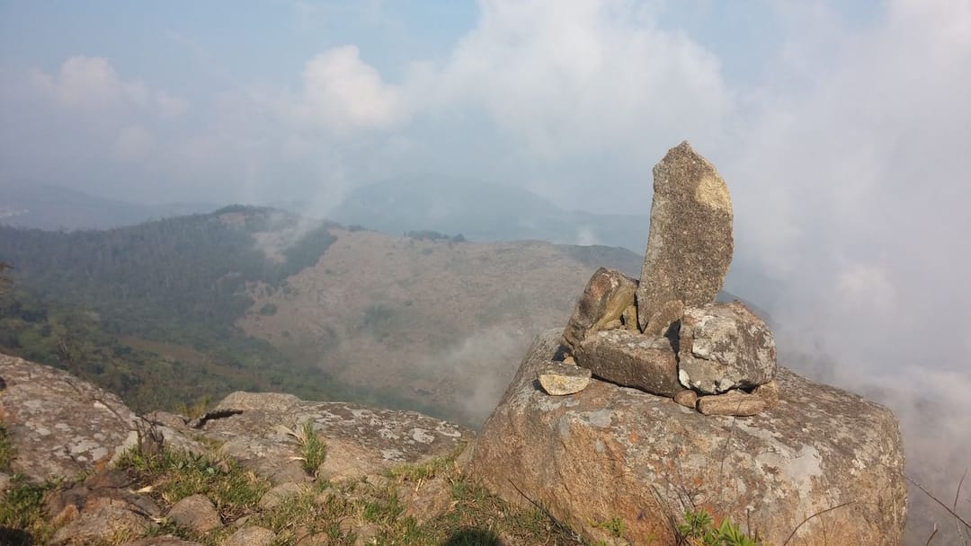 মৌমাছি, মানুষ ও একটি মিলেমিশে বাঁচার গল্প