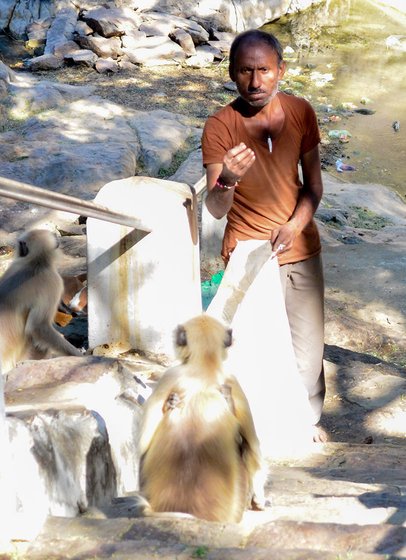 Jhujaram Dharmiji Sant feeding the langurs