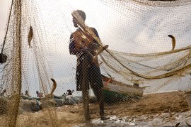 रहनुमाओं व समंदर की मंझधार में फंसे नोचिकुप्पम के मछेरे