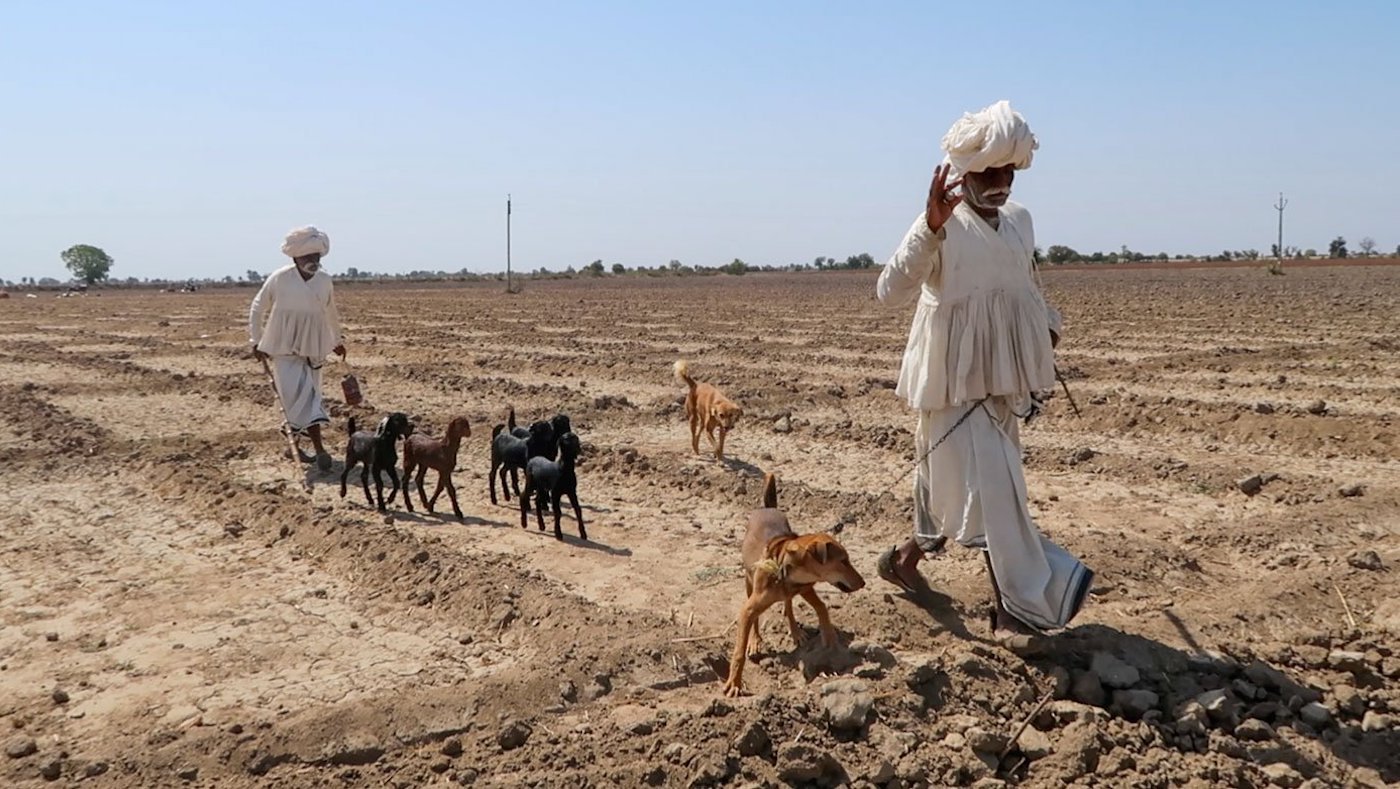 bringing-rural-india-into-urban-classrooms