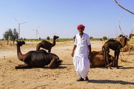 In Jaisalmer: gone with the windmills