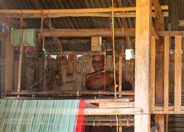 The last handloom weaver of Gobindapur