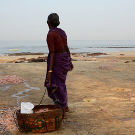 Woman, migrant fish worker dragging caught fish