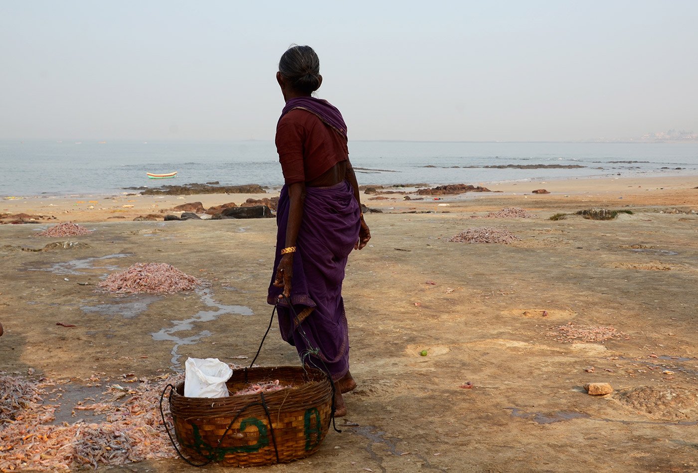 Woman, migrant fish worker dragging caught fish