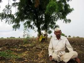 عثمان آباد میں گنّے کی کھیتی اور کسانوں کی تباہی