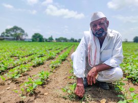 In Osmanabad: crop insurance, no assurance