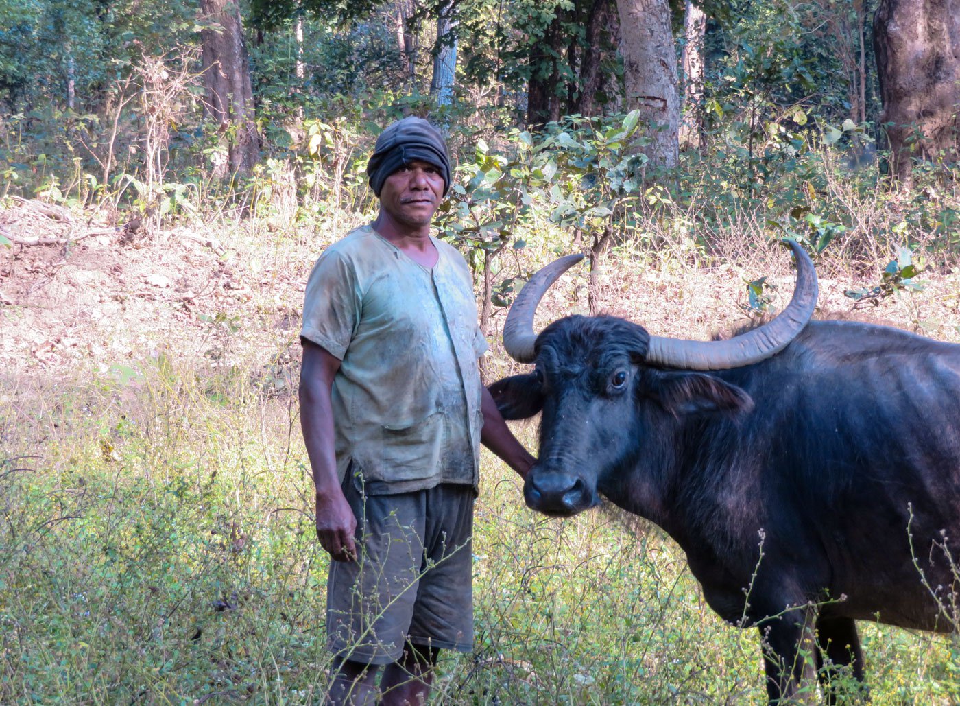Vishalram Markam’s beloved buffaloes venture on their own to graze in the dense forests of Chhattisgarh’s Dhamtari district. They return to him by evening, but the danger from hungry predators is always lurking